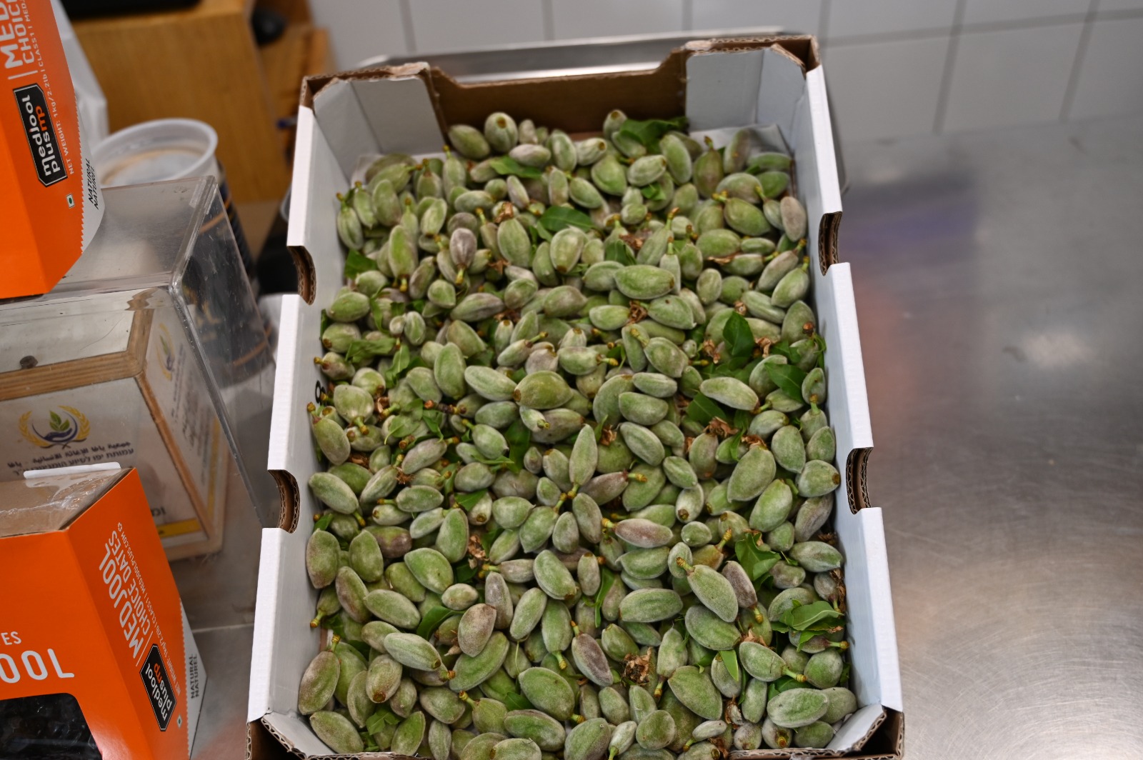 WhatsApp Image 2022-03-29 at 1.25.28 PM.jpg